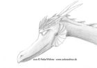 Pencil portrait of a dragon