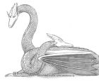 Pencil drawing of a western dragon lying on the ground