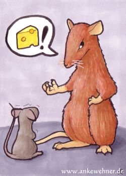 A rat demands cheese from a scared mouse