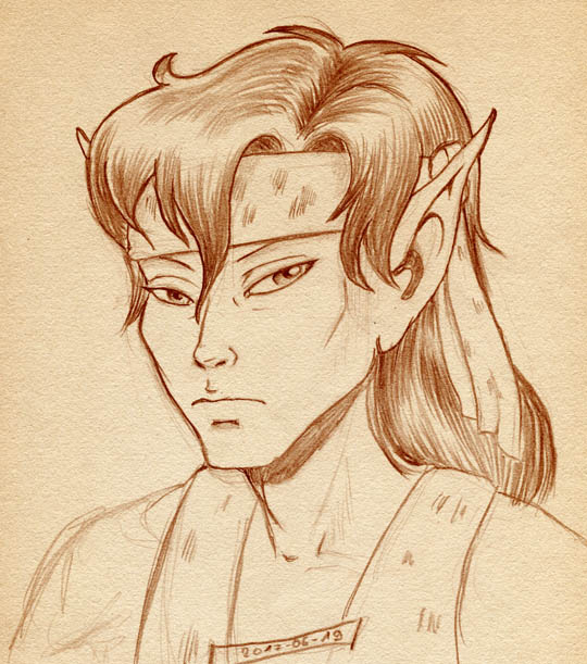 Sepia-toned portrait of an elf with long, dark hair, wearing a headband