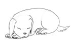 A quick line drawing of a sleeping puppy.