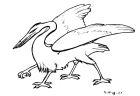 Ink line drawing of a creature with the head of a heron (but with teeth), four bird legs and a pair of wings