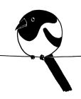 Cartoony/simplified ink drawing of a very round magpie