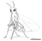 pencil sketch of an anthromorphised moth (full figure)