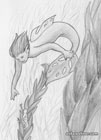 Pencil sketch of two mermaids in a kelp forest. One is very small and has rough skin like a seahorse and it holding on to a strand of kelp. The other one is bigger, with a tail fin and back fin with holes, based on a monstera leaf. They are reaching out to each other.